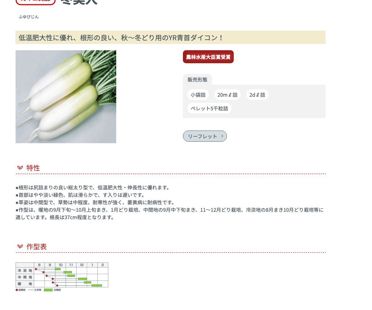 冬美人