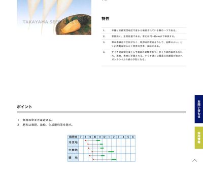 すぐき菜の画像