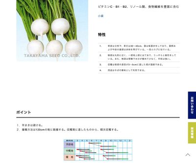 薬味だいこんの画像