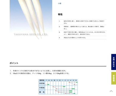 時無だいこんの画像