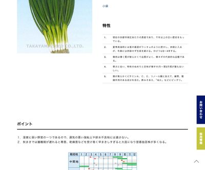 九条ねぎの画像