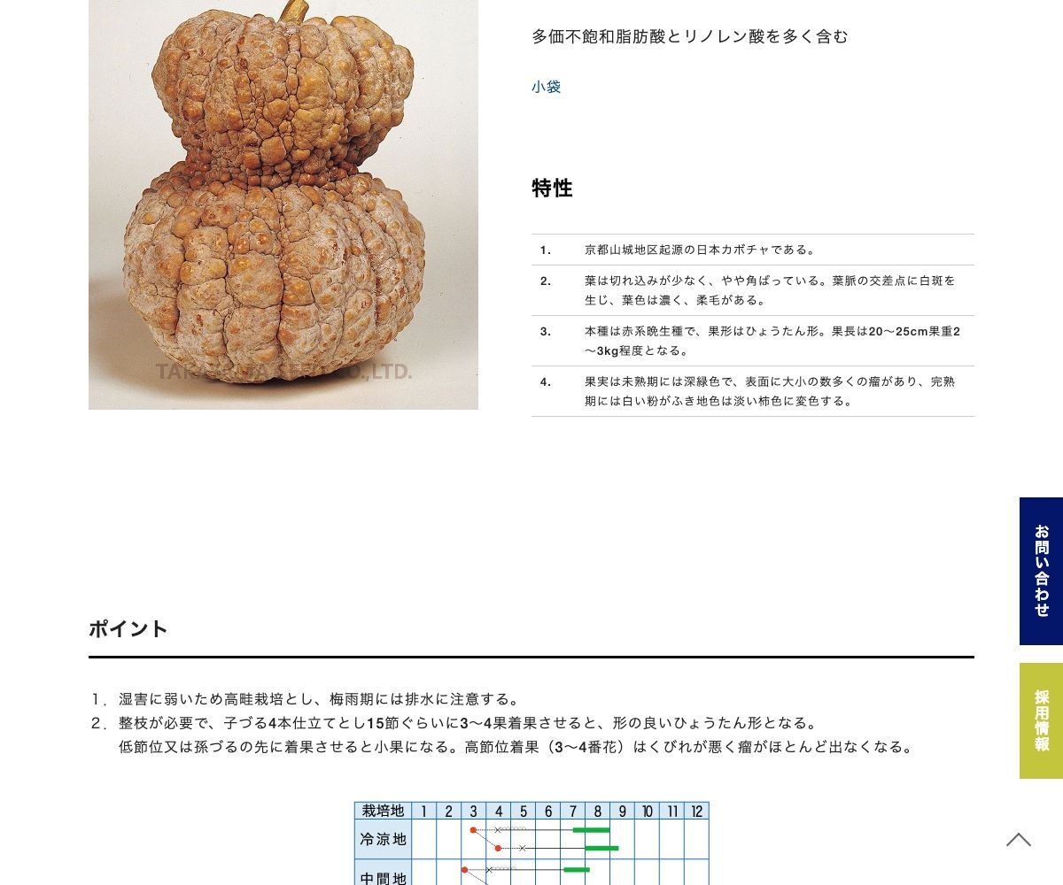 鹿ケ谷かぼちゃ