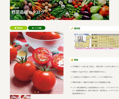 TYフルティカSCの画像