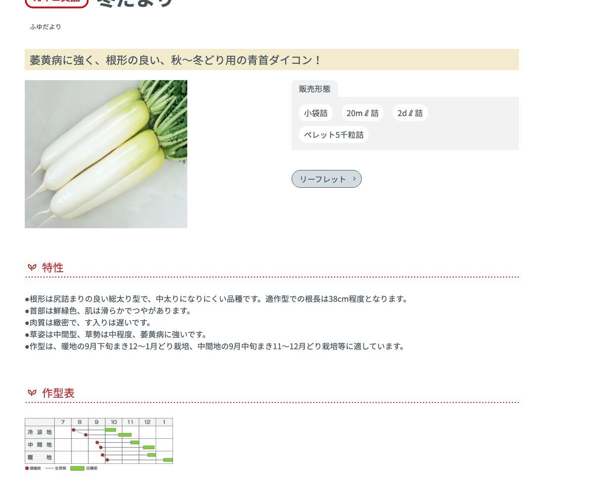 冬だより