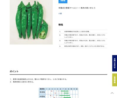 万願寺とうがらしの画像