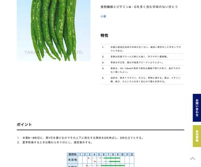 伏見とうがらしの画像