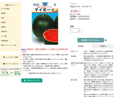 マイボーイの画像