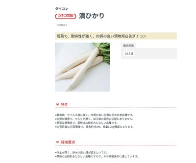 漬ひかりの画像