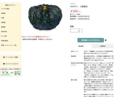 小菊南瓜の画像