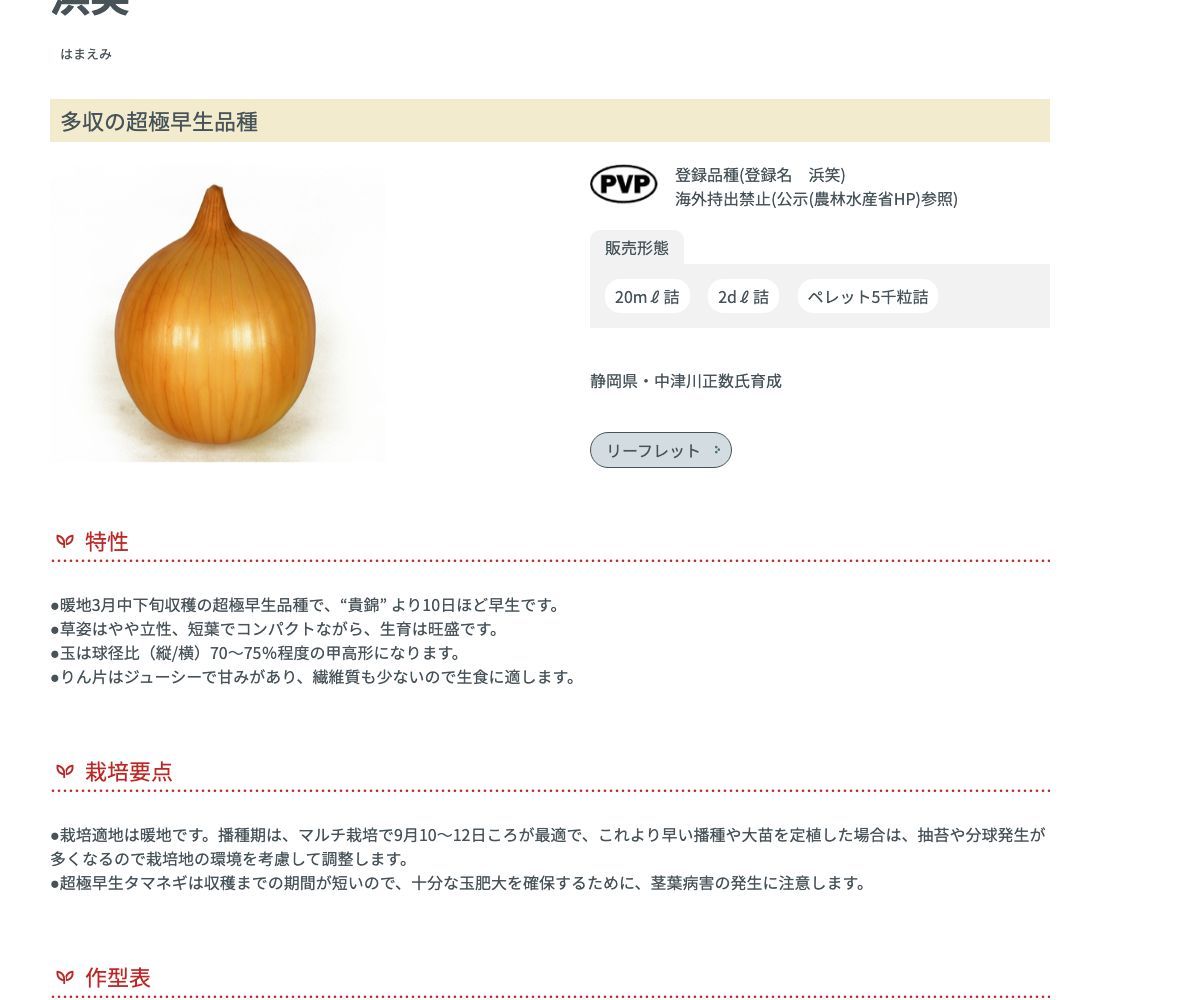 浜笑