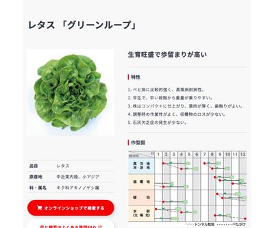 グリーンループの画像