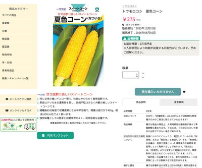 夏色コーンの画像