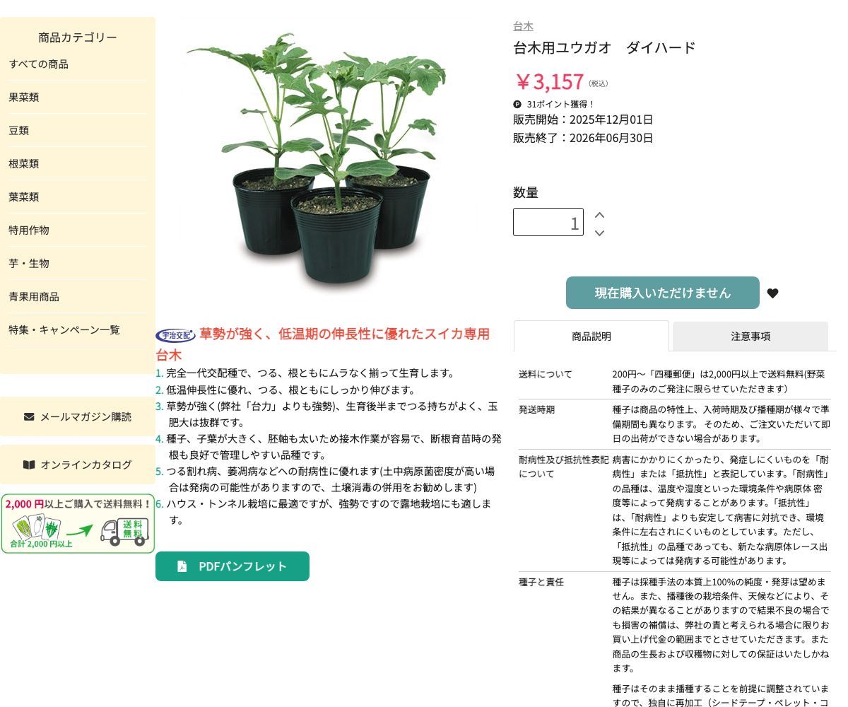 台木用ユウガオ ダイハード