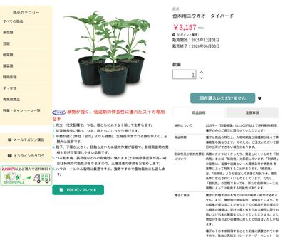 台木用ユウガオ ダイハードの画像