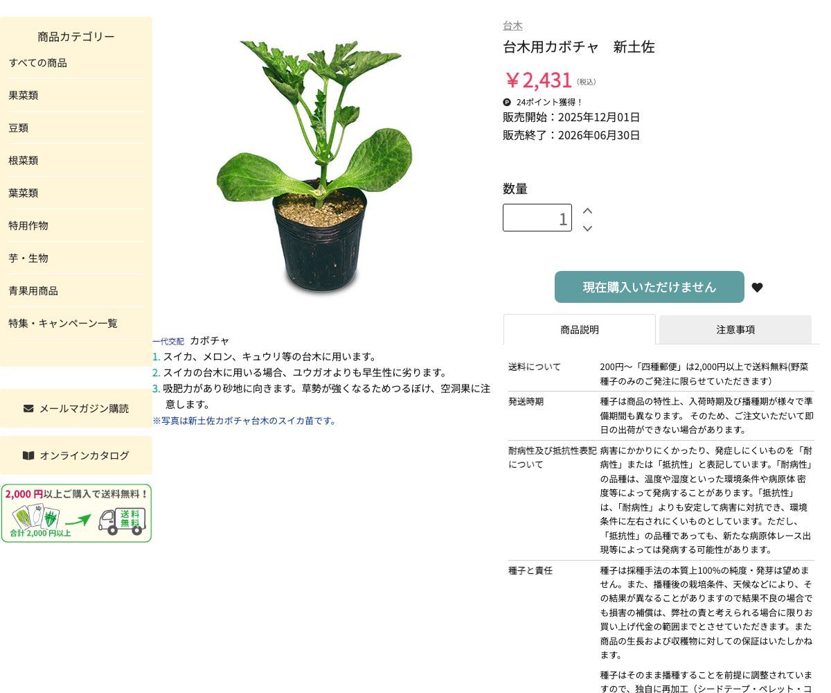 台木用カボチャ 新土佐