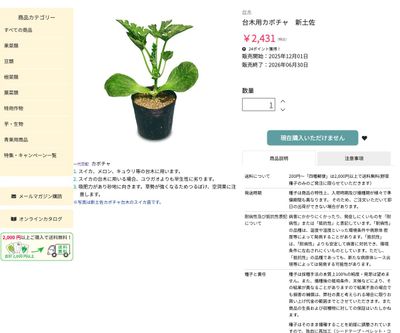 台木用カボチャ 新土佐の画像