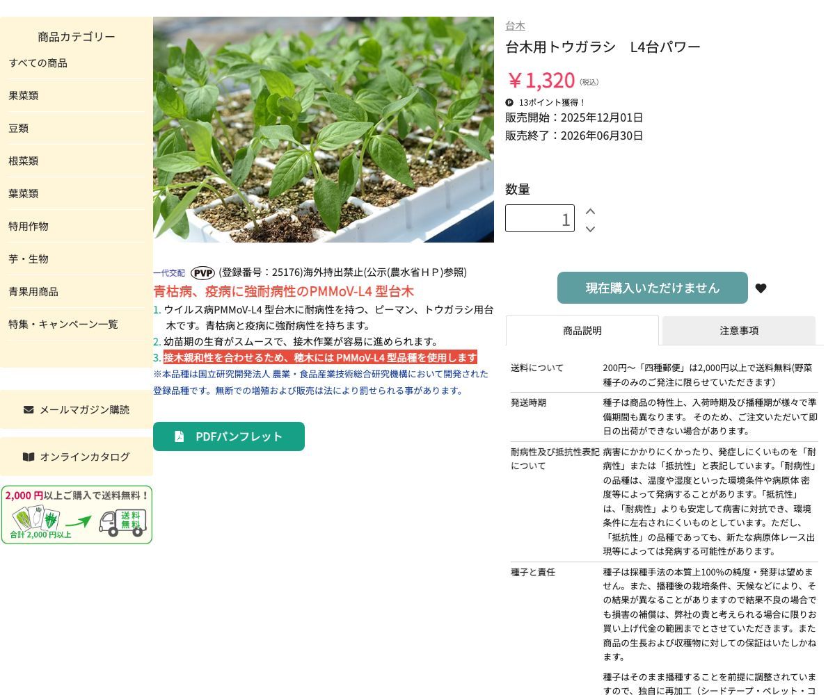 台木用トウガラシ L4台パワー