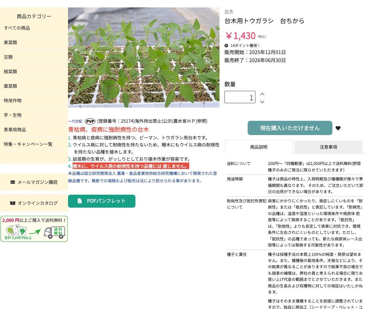 台木用トウガラシ 台ちから