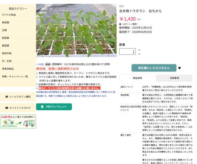 台木用トウガラシ 台ちからの画像