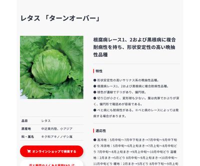 ターンオーバーの画像