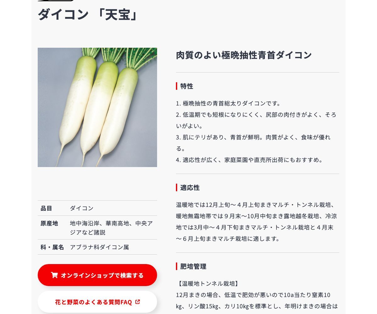 天宝