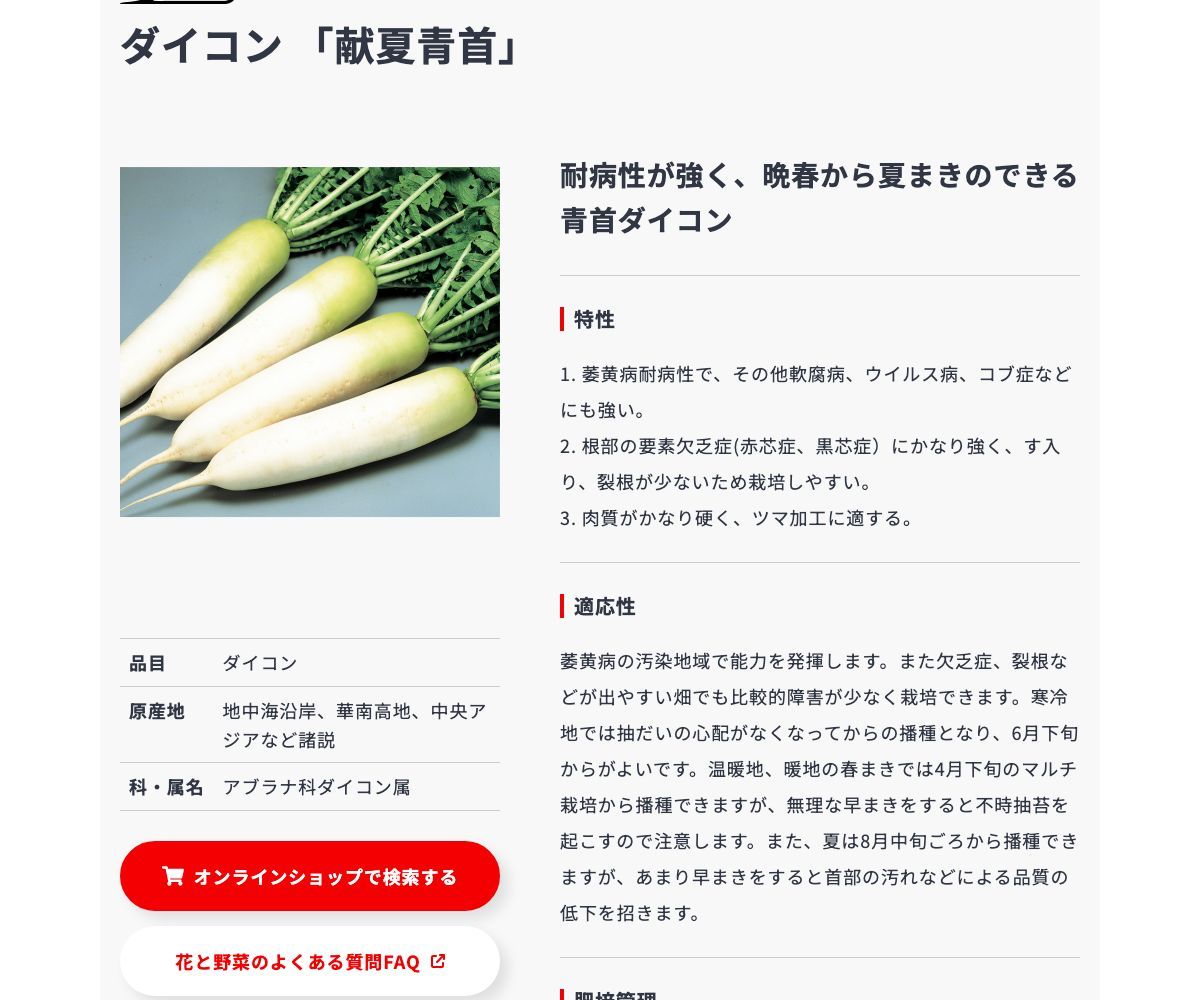 献夏青首