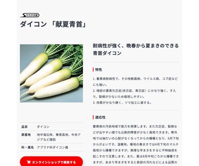 献夏青首の画像