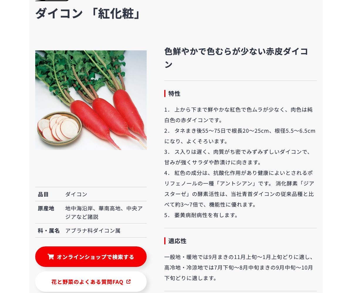 紅化粧