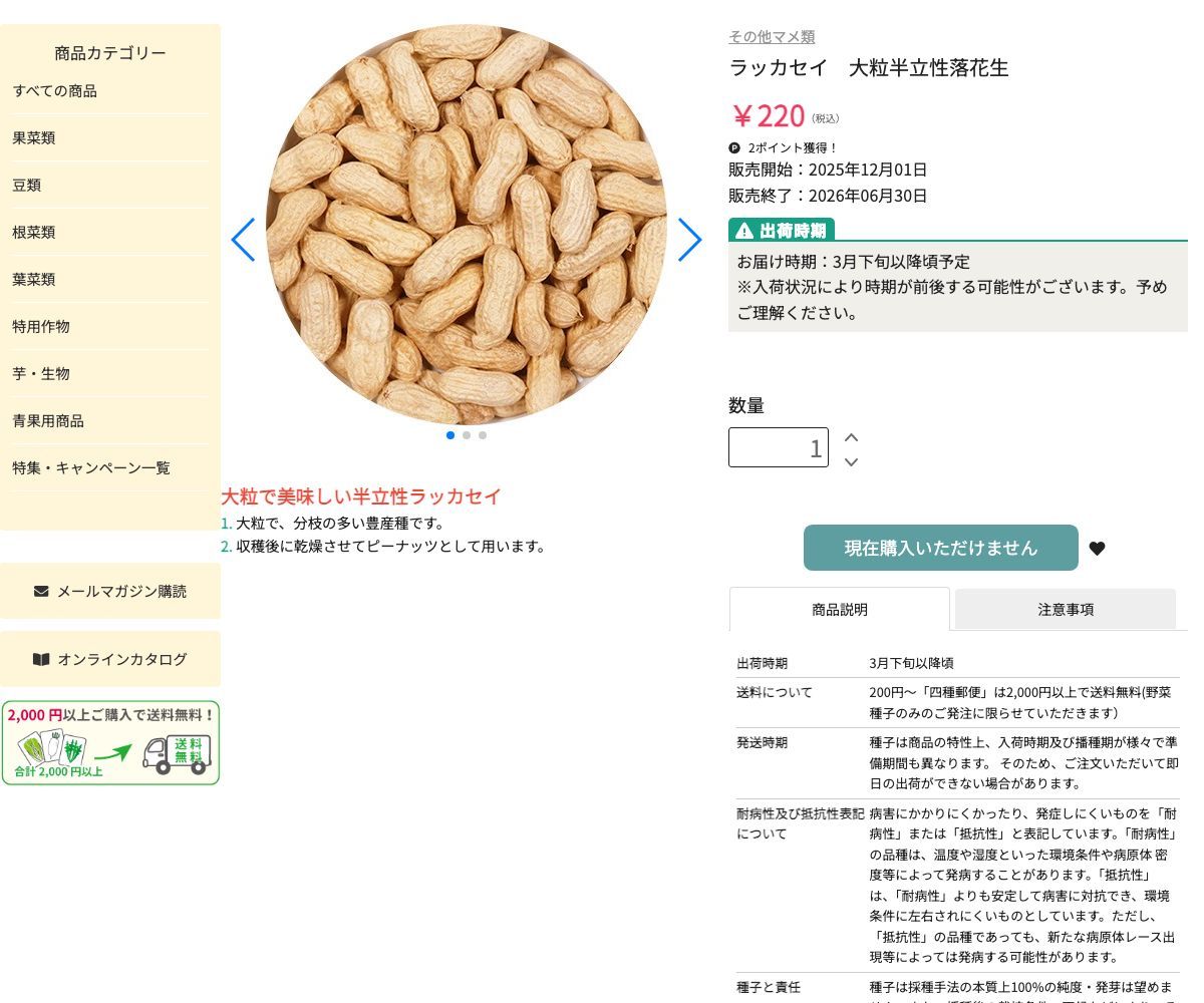 大粒半立性落花生