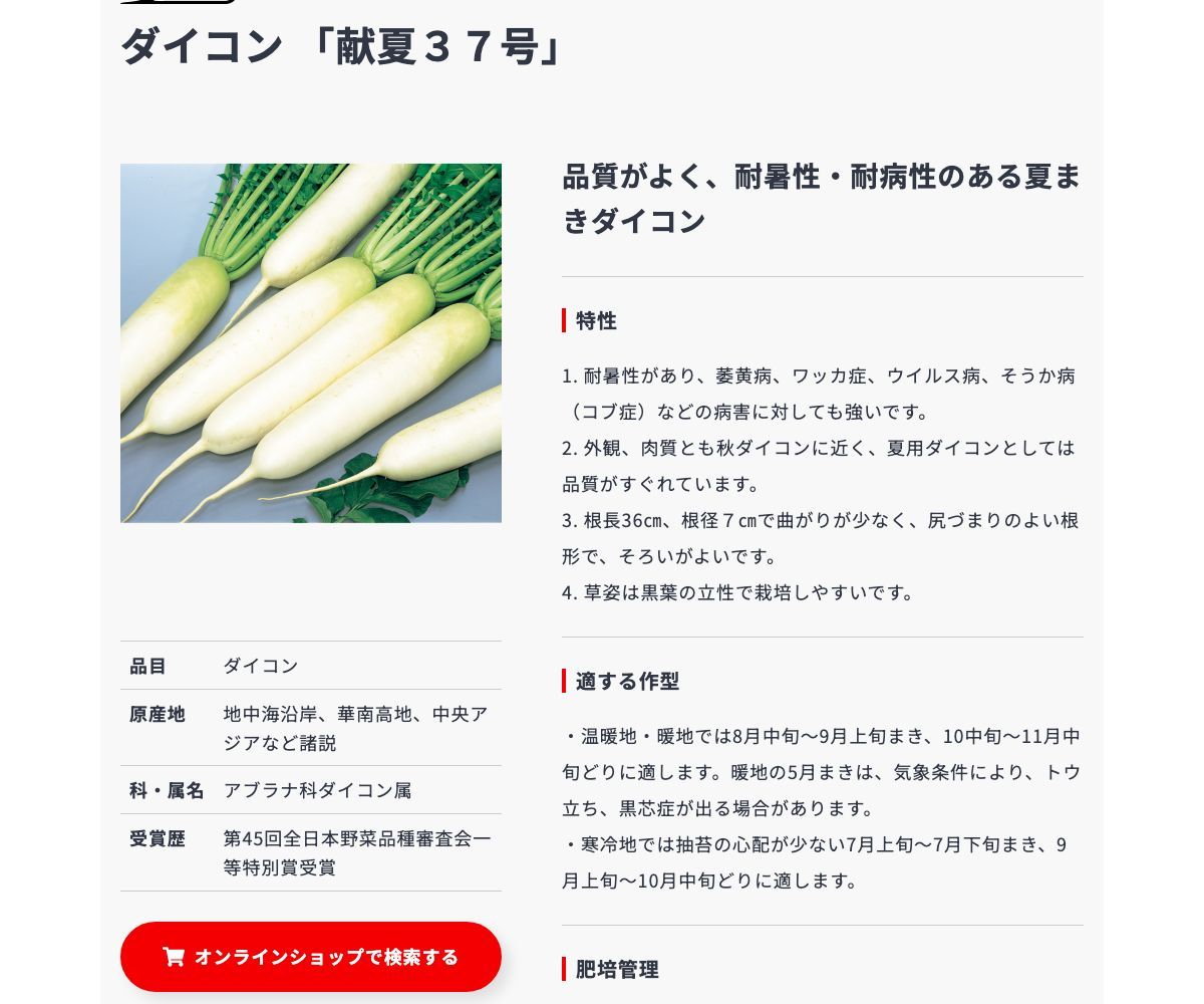 献夏37号