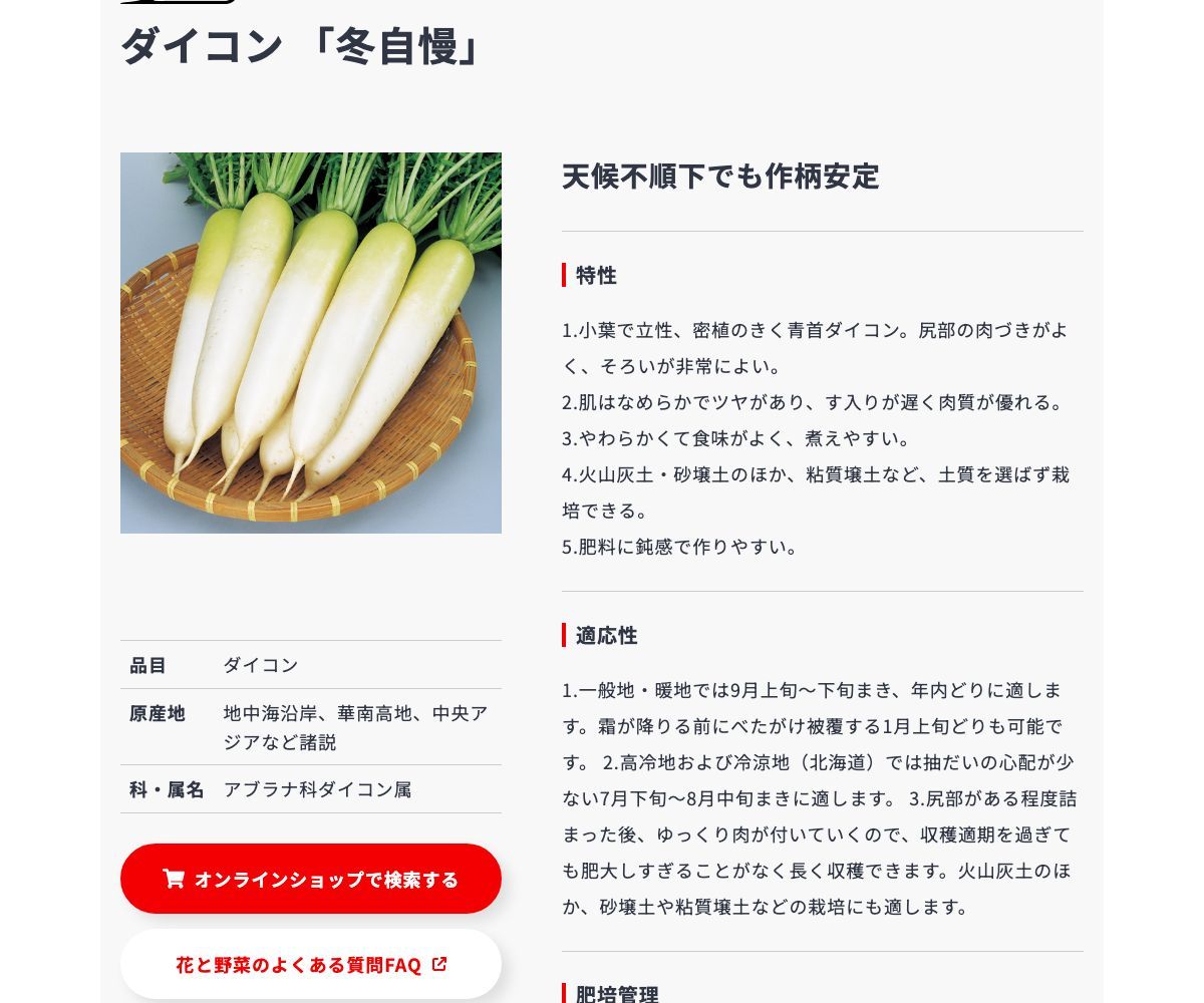 冬自慢