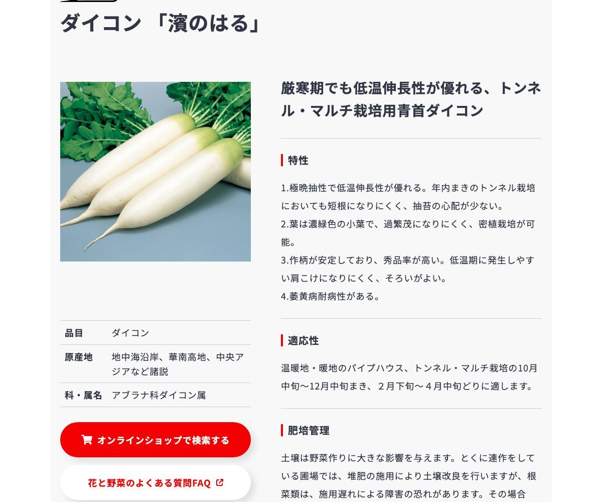 濱のはる