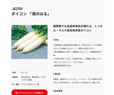 濱のはるの画像