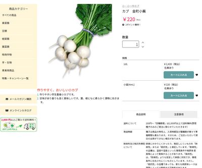 金町小蕪の画像