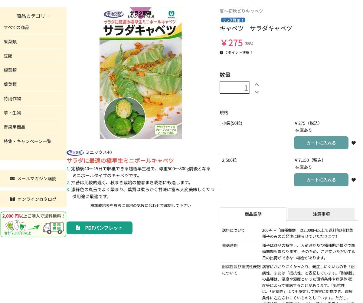 サラダキャベツ