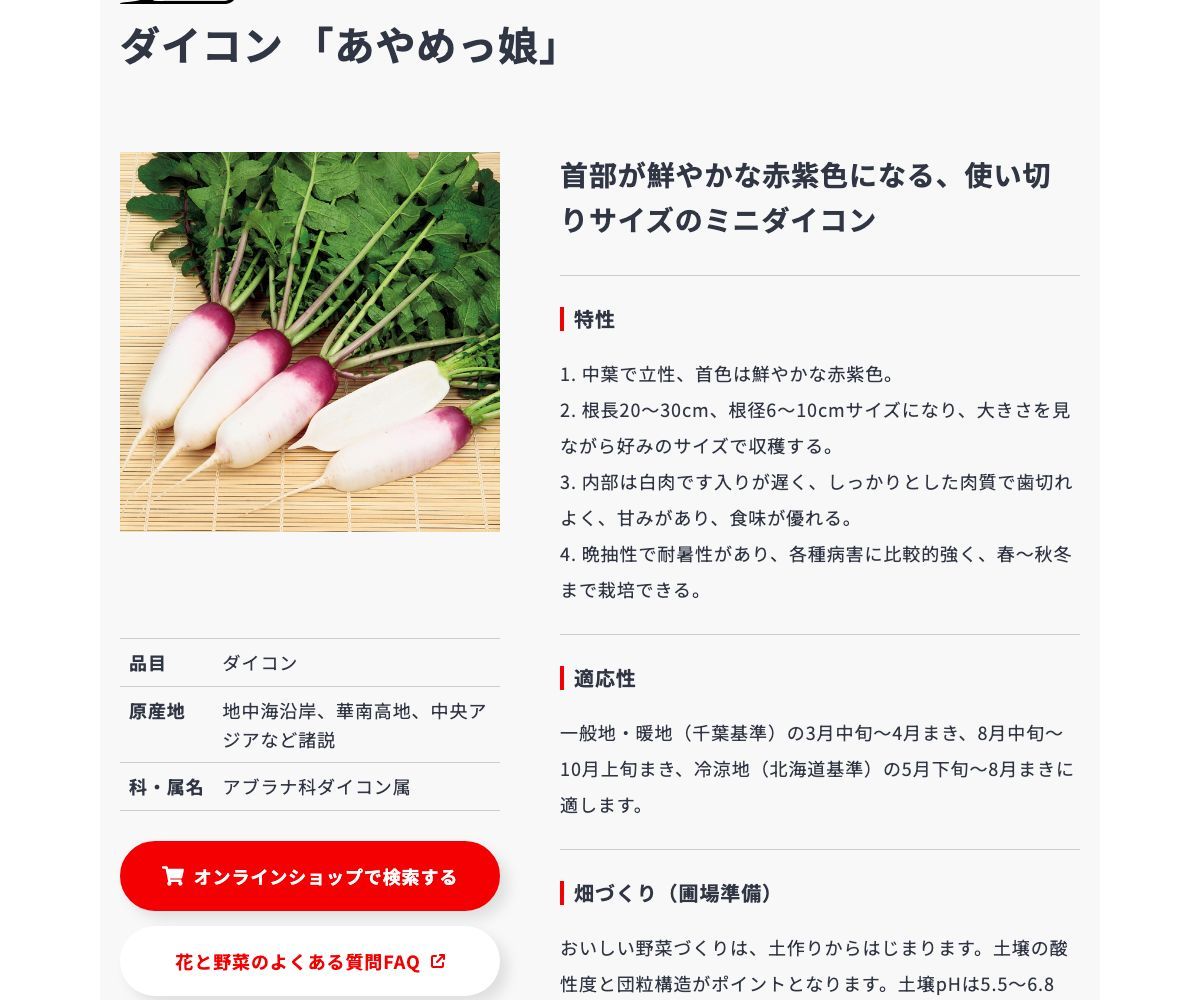 あやめっ娘