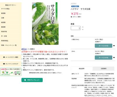 サラダ白菜の画像