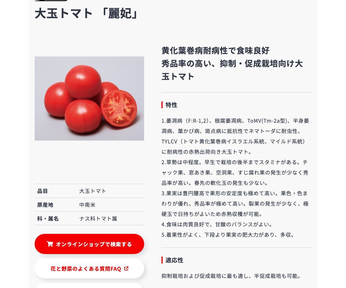 麗妃