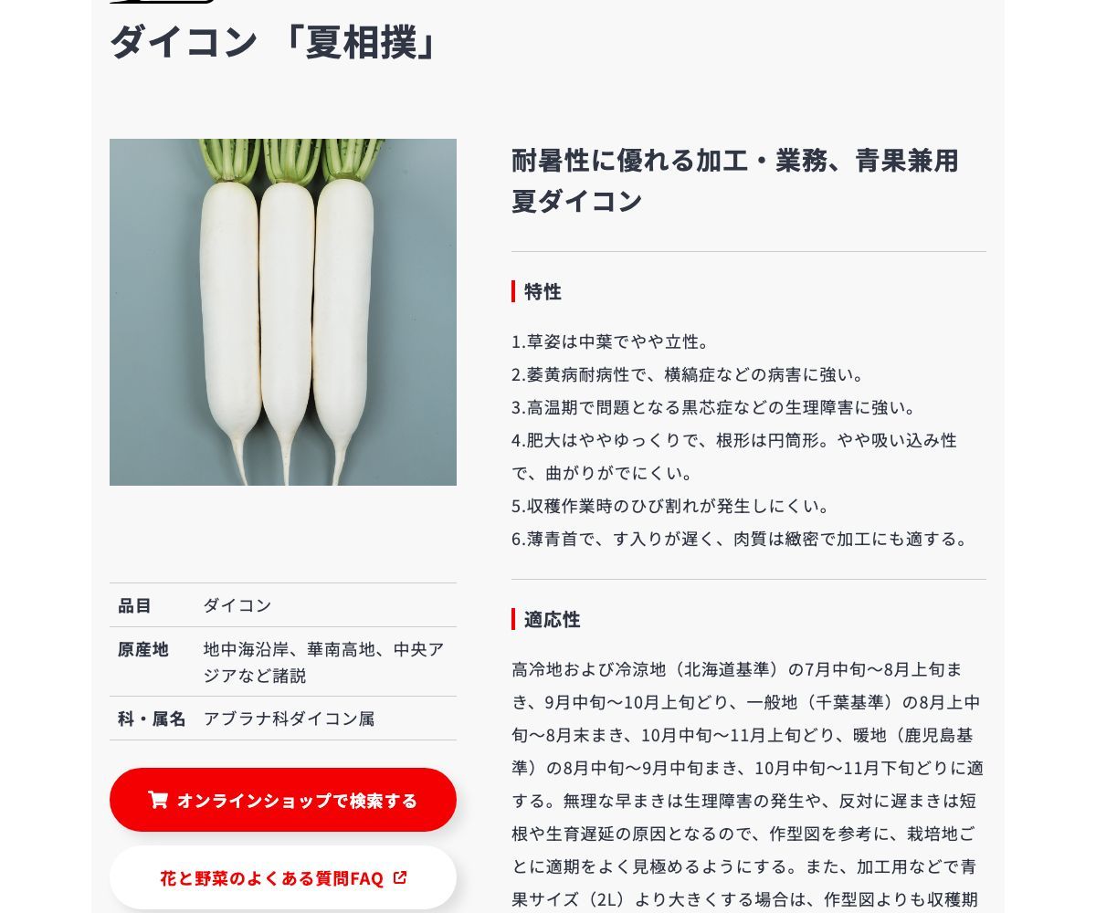 夏相撲