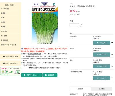 早生はりはり京水菜の画像