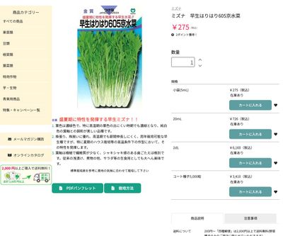 早生はりはり605京水菜の画像