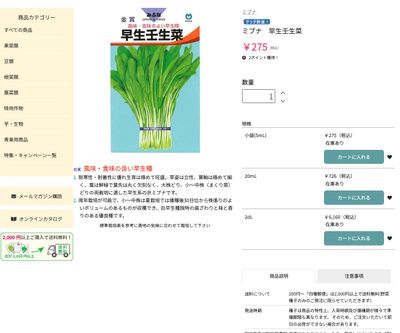 早生壬生菜の画像