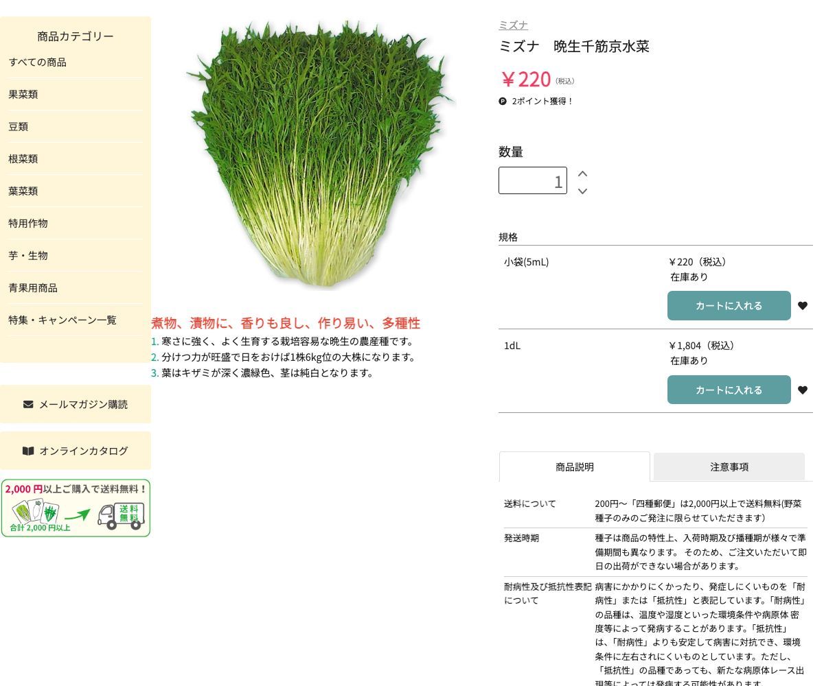 晩生千筋京水菜