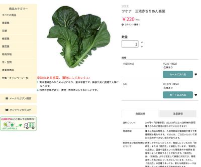 ツケナ 三池赤ちりめん高菜の画像