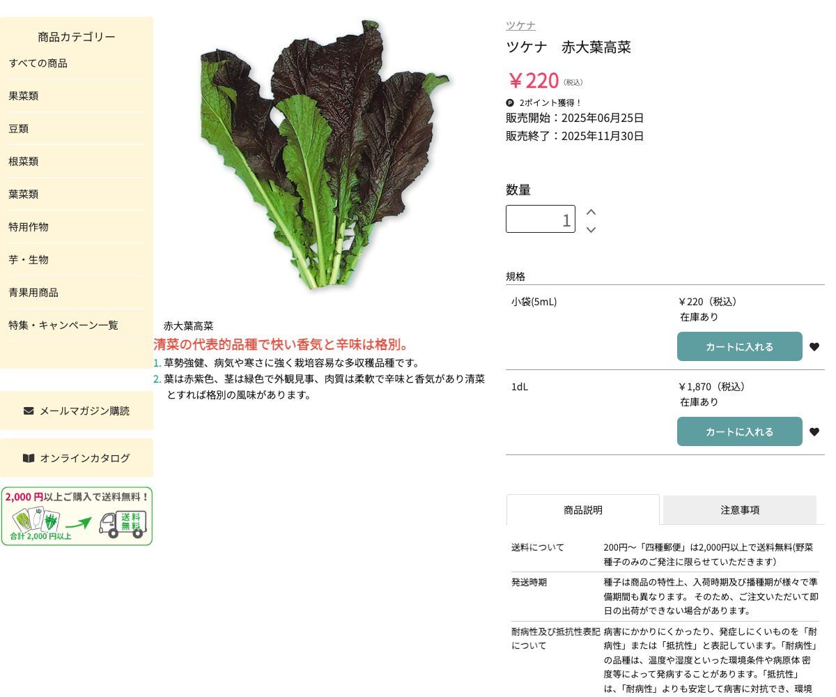 ツケナ 赤大葉高菜