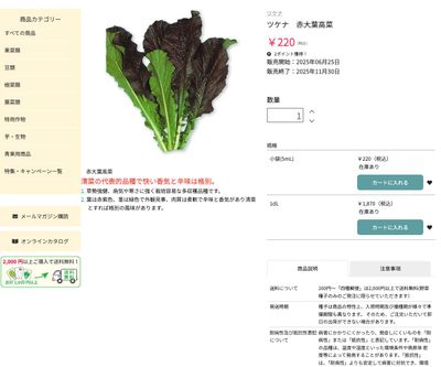 ツケナ 赤大葉高菜の画像