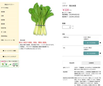 ツケナ 雪白体菜の画像