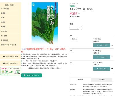 カーニバルの画像