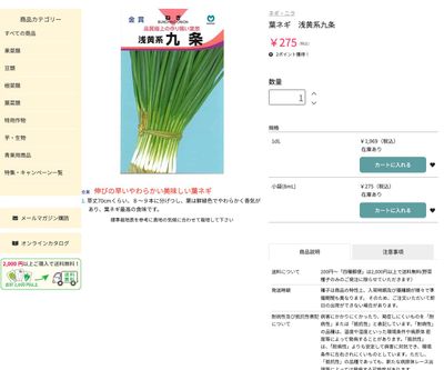 浅黄系九条の画像