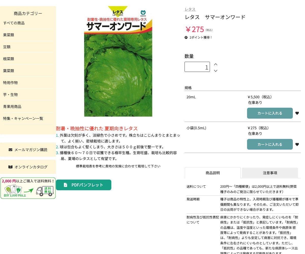 サマーオンワード